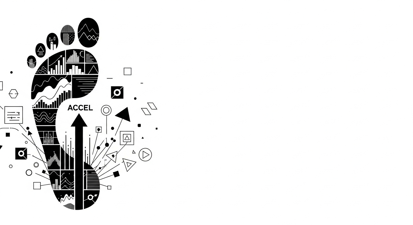 Accel's Portfolio API Footprint